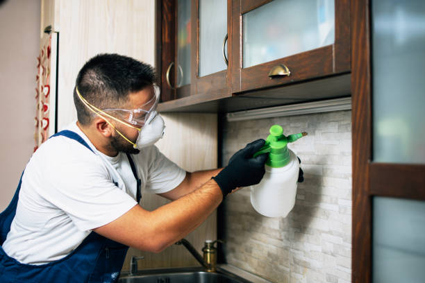 Best Affordable Pest Control Services  in Cherry Valley, CA