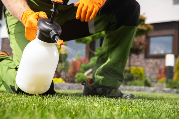 Best Termite Control Services  in Cherry Valley, CA