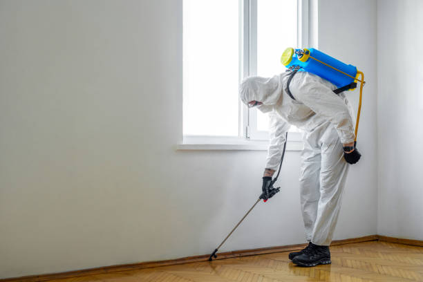 Best Cockroach Control Services  in Cherry Valley, CA