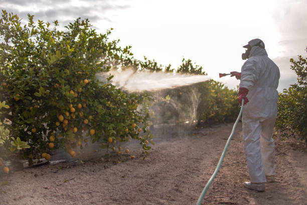 Best Local Pest Control Services  in Cherry Valley, CA
