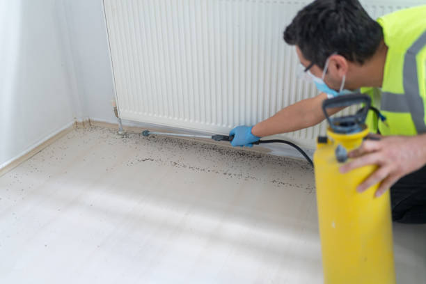 Pest Prevention Services in Cherry Valley, CA