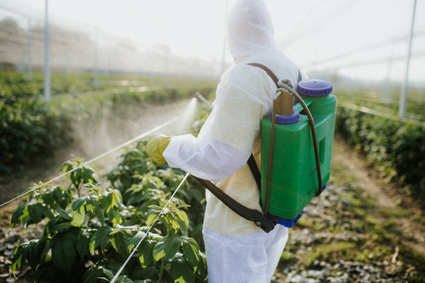 Best Bed Bug Extermination  in Cherry Valley, CA